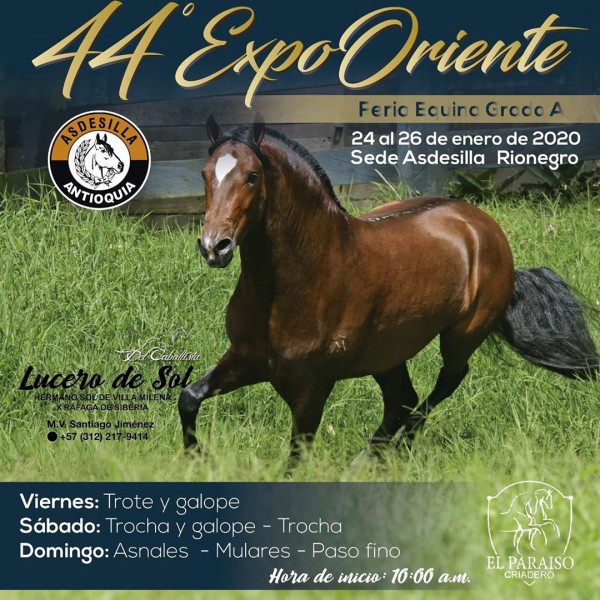 https://www.suscaballos.com/TRANSMISIÓN 44 Expooriente Grado A del 24 al 26 de Enero 2020