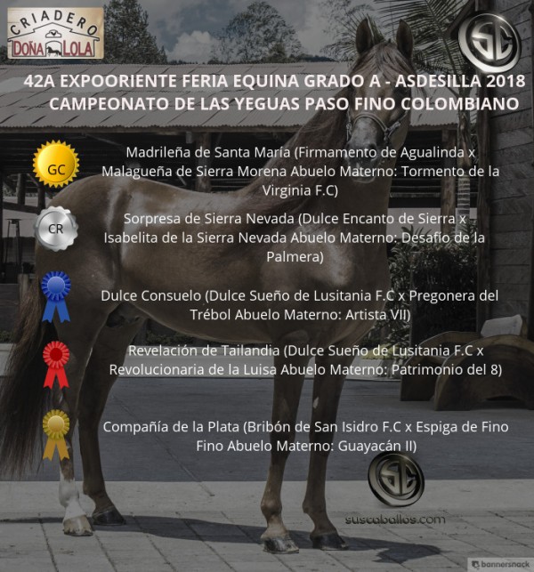 https://www.suscaballos.com/VÍDEO: Madrileña Campeona, Sorpresa Reservada, Paso Fino, Expooriente 2018