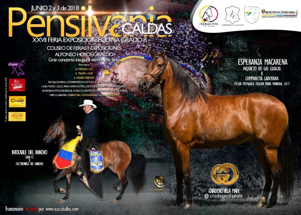 https://www.suscaballos.com/RESULTADOS XXVII Exposición Equina Grado B, Pensilvania - TROTE Y GALOPE