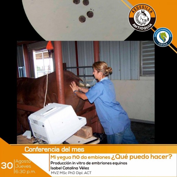 https://www.suscaballos.com/Conferencia Asdesilla 30 de Agosto: Mi Yegua No Da Embriones ¿Qué Puedo Hacer?