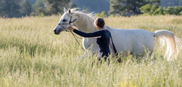 https://www.suscaballos.com/Conexión mental: cuando tu caballo y tú son uno