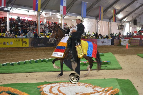 https://www.suscaballos.com/RESULTADOS XIII MUNDIAL EQUINA CONFEPASO - CAMPEONATOS