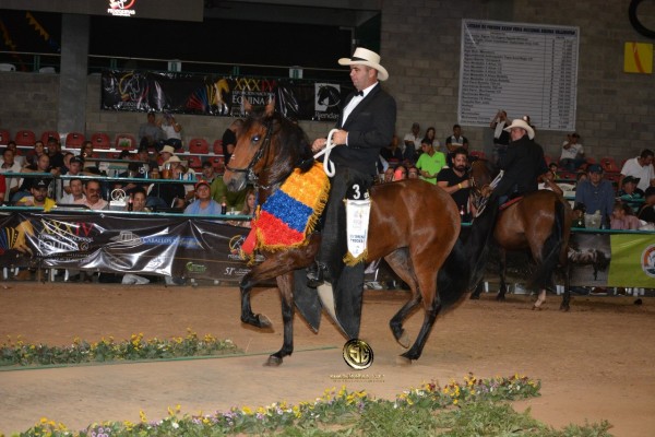 https://www.suscaballos.com/VÍDEO: Gitana Campeona, Loperena Reservada, Trocha Colombiana, Nacional 2018