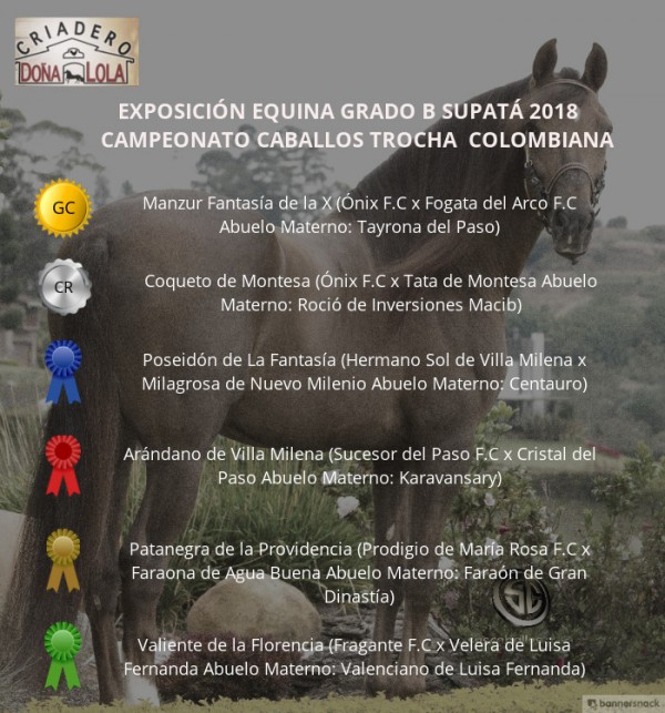 https://www.suscaballos.com/VÍDEO: Manzur Campeón, Coqueto Reservado, Supatá Grado B 2018