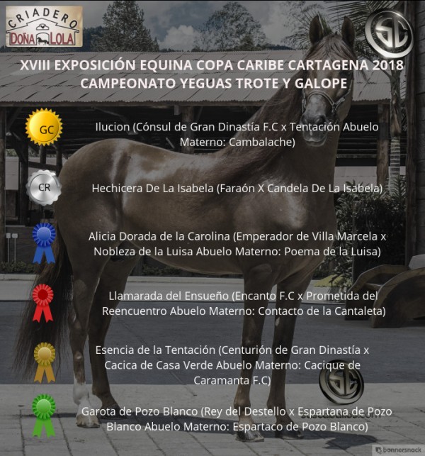 https://www.suscaballos.com/VÍDEO:Ilusión Campeona,Hechicera Reservada, Trote Y Galope,Copa Caribe Cartagena