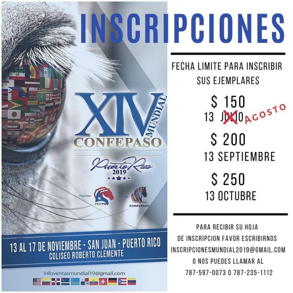 https://www.suscaballos.com/XIV Mundial De Caballos Confepaso - NUEVAS Fechas De Inscripciones!!