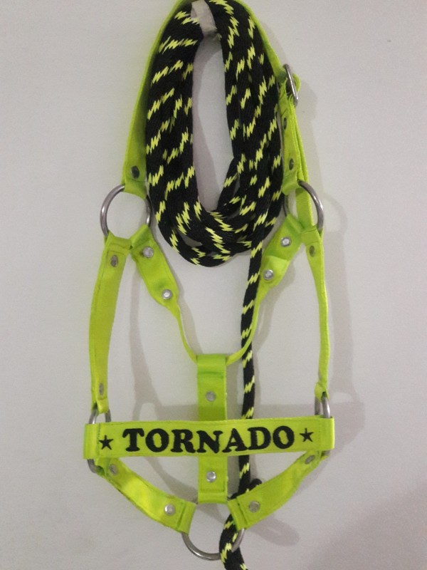 https://www.suscaballos.com/TORNADO
