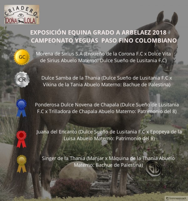 https://www.suscaballos.com/VÍDEO: Morena Campeona, Dulce Samba Reservada, Paso Fino, Arbelaez 2018