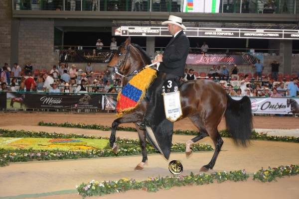 https://www.suscaballos.com/VÍDEO: Tentadora Campeona, Romana Reservada, Trote Y Galope, Nacional 2018
