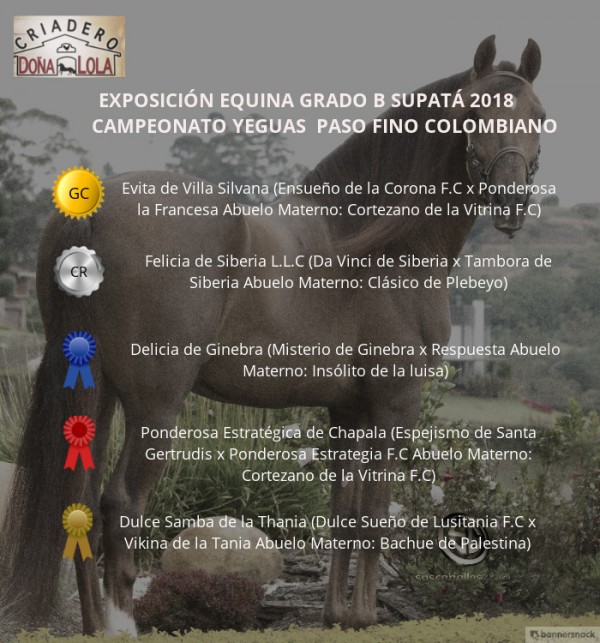 https://www.suscaballos.com/VÍDEO: Evita Campeona, Felicia Reservada, Paso Fino Colombiano, Supatá 2018