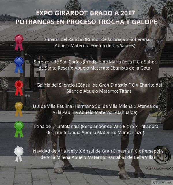 https://www.suscaballos.com/VÍDEO: Tsunami Mejor, Serenata 1P, Potrancas Trocha Y Galope, Expo Girardot 2017