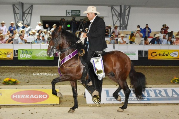 https://www.suscaballos.com/RESULTADOS 62a Exposición Equina Grado A De Manizales - TROCHA COLOMBIANA