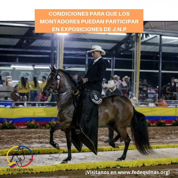 https://www.suscaballos.com/Condiciones Para Que Los Montadores Pueden Participar En Exposiciones J.N.P
