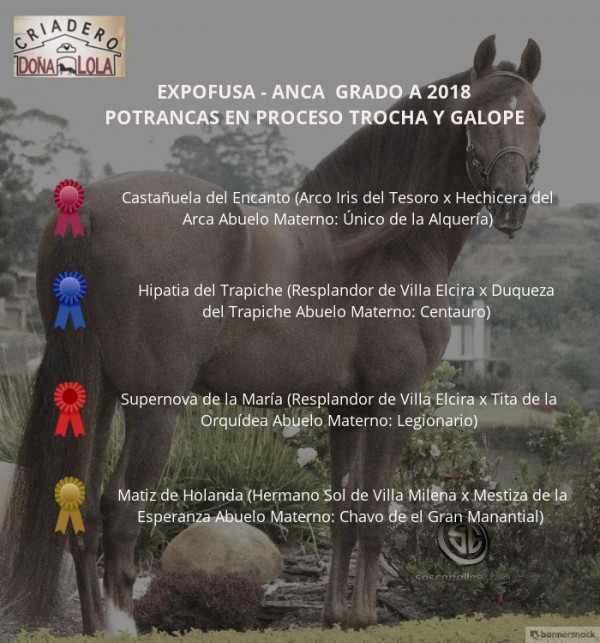 https://www.suscaballos.com/RESULTADOS Expofusa Grado A 2018 - TROCHA Y GALOPE