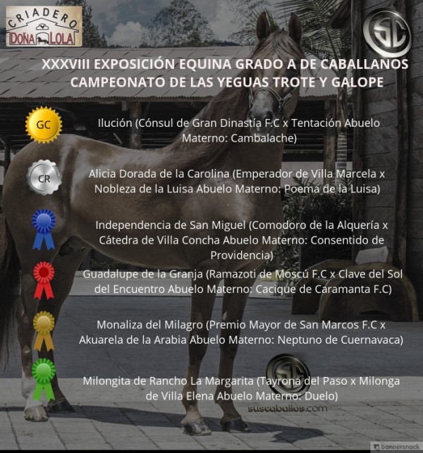 https://www.suscaballos.com/ÍDEO: Ilución Campeona, Alicia Reservada, Trote Y Galope, Caballanos 2018