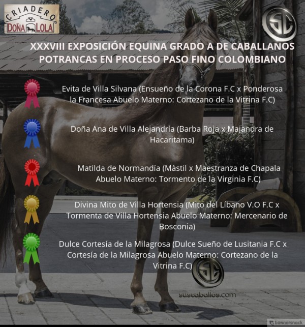 https://www.suscaballos.com/VÍDEO: Evita Mejor, Doña Ana 1P, Potrancas Del Paso Fino Colombiano, Caballanos