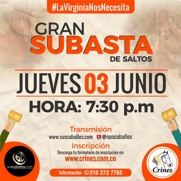 https://www.suscaballos.com/GRAN SUBASTA VIRTUAL