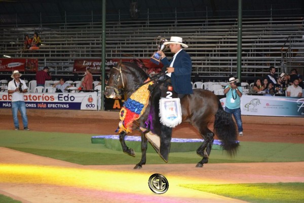https://www.suscaballos.com/VÍDEO: Travieso Campeón, Campirano Reservado, Trocha Y Galope, XXV Copa América