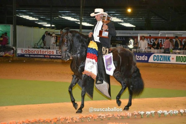 https://www.suscaballos.com/Mito Del Libano V.O F.C Ya Se Encuentra En Colombia!!!