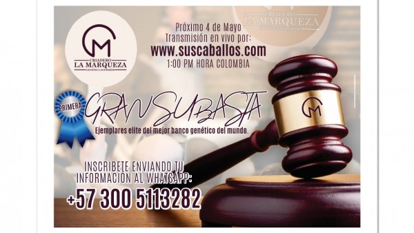 https://www.suscaballos.com/Lanzamiento mundial primera subasta VIRTUAL élite(VIDEO)el evento del año!!.