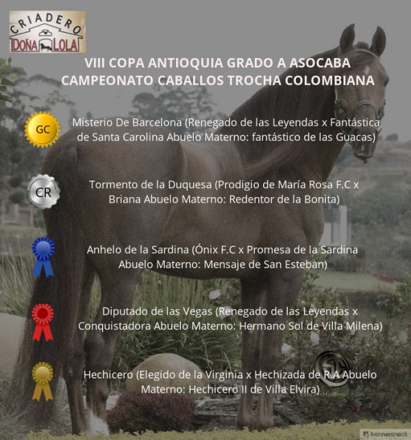 https://www.suscaballos.com/VÍDEO: Misterio De Barcelona Gran Campeón Trocha Colombiana, Copa Antioquia