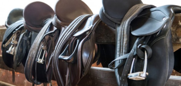 https://www.suscaballos.com/Cuatro puntos básicos para saber si la montura se adapta al caballo