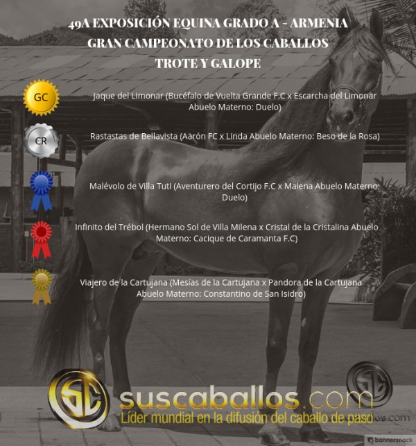 https://www.suscaballos.com/VÍDEO: Jaque Campeón, Rastastas Reservado, Trote Y Galope, Armenia 2017