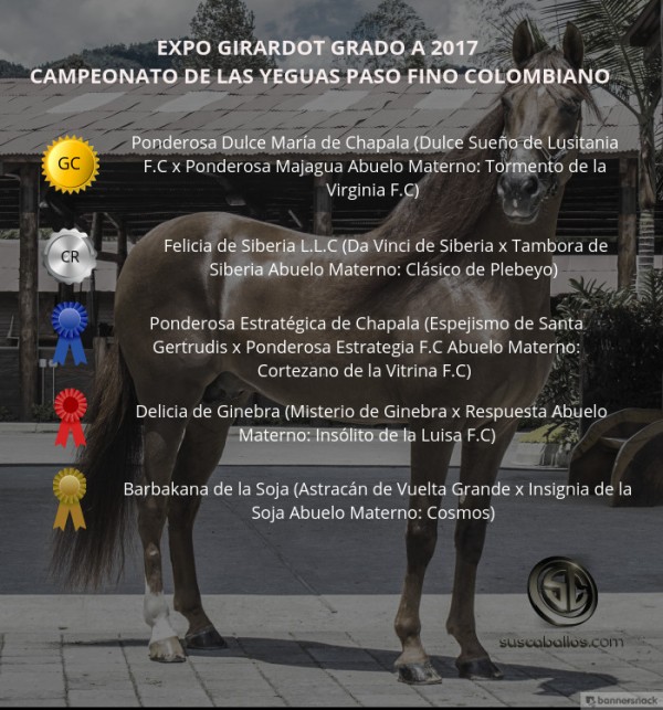 https://www.suscaballos.com/VÍDEO:Ponderosa Dulce Campeona, Felicia Reservada, Paso Fino, Expo Girardot 2017