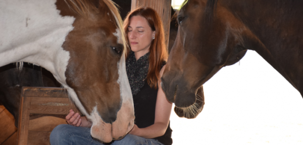 https://www.suscaballos.com/¿De qué manera los caballos nos conducen a la coherencia cardíaca?