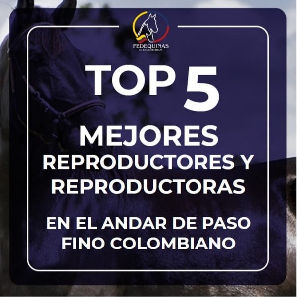 https://www.suscaballos.com/Top 5 Mejores Reproductores y Reproductoras Paso Fino Colombiano
