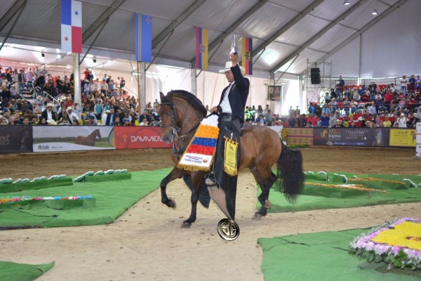 https://www.suscaballos.com/VÍDEO: Galán Campeón Mundial, Jaque Reservado Mundial Del Trote Y Galope!!