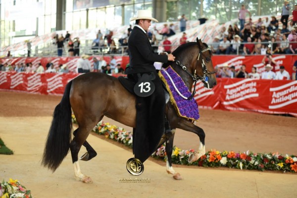 https://www.suscaballos.com/RESULTADOS 60 años Expointernacional Equina Feria de Flores 2018 - TROTE Y GALOPE