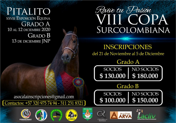 https://www.suscaballos.com/VIII COPA SURCOLOMBIANA - Pitalito Grado A