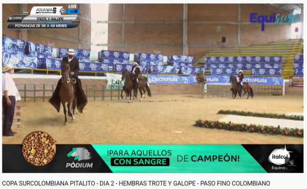 https://www.suscaballos.com/COPA SURCOLOMBIANA PITALITO - DIA 2 - HEMBRAS TROTE Y GALOPE - PASO FINO COLOMBIANO