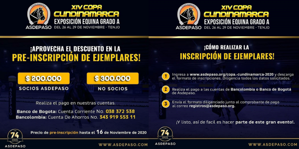 https://www.suscaballos.com/Exposición Equina Grado A, Copa Cundinamarca Asdepaso 2020