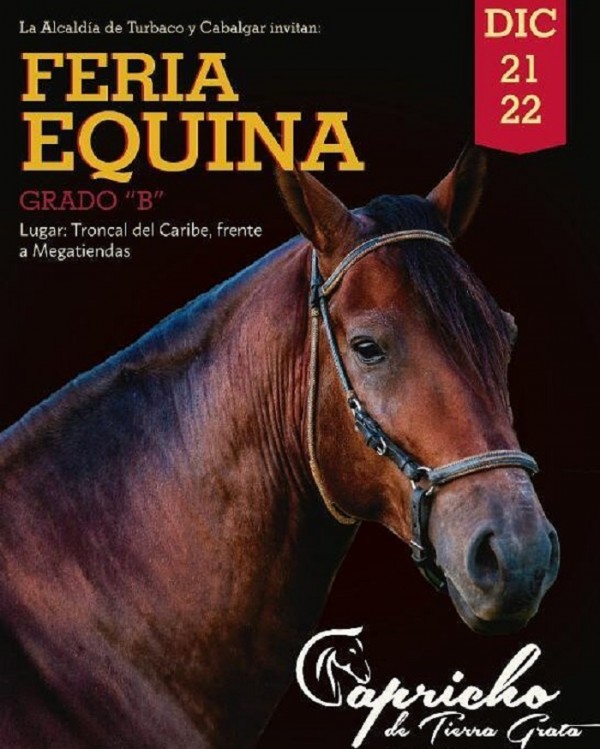 https://www.suscaballos.com/ TRANSMISIÓN Exposición Equina Grado B,Turbaco - 21 y 22 de Diciembre del 2017
