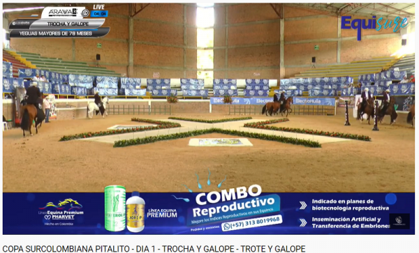 https://www.suscaballos.com/COPA SURCOLOMBIANA PITALITO - DIA 1 - TROCHA Y GALOPE - TROTE Y GALOPE
