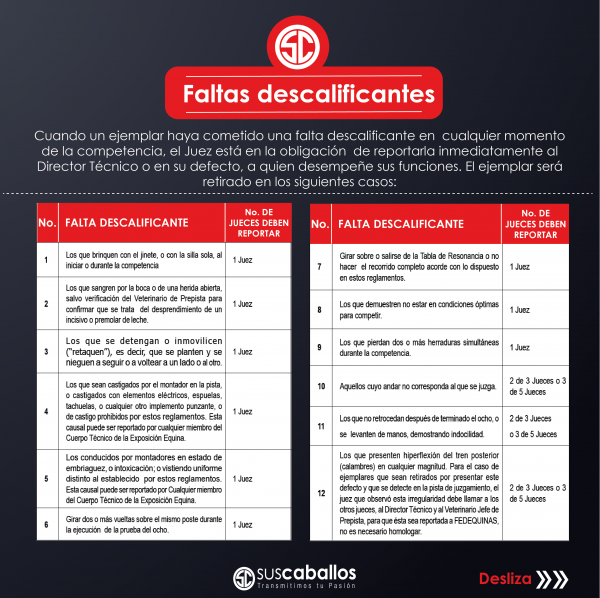 https://www.suscaballos.com/Faltas descalificantes en competencia