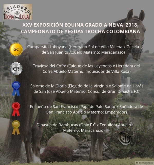 https://www.suscaballos.com/VÍDEO: Cumparsita Campeona, Traviesa Reservada, Trocha Colombiana, Neiva 2018