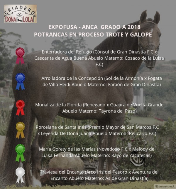 https://www.suscaballos.com/VÍDEO: Enterradora Mejor, Arrolladora 1P, Potrancas Trote Y Galope, Expofusa