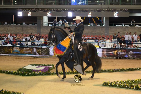 https://www.suscaballos.com/VÍDEO: Caballero Campeón, Travieso Reservado, Trocha y Galope, Nacional 2018
