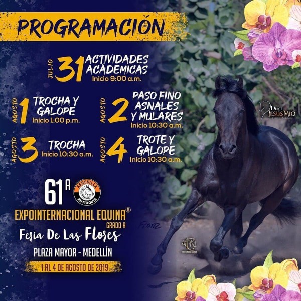 https://www.suscaballos.com/Prográmate Para La 61a Expointernacional Equina Grado A, Feria de Flores