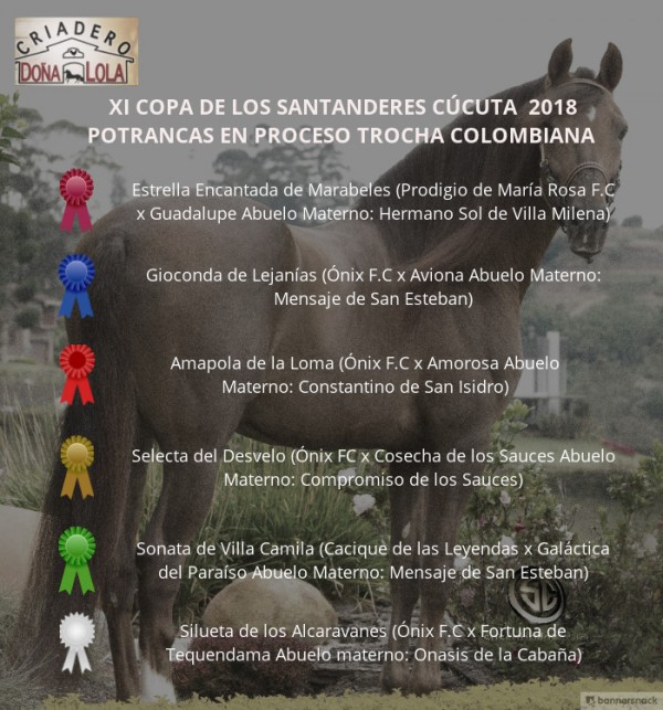 https://www.suscaballos.com/VÍDEO: Estrella Mejor, Gioconda 1P, Potranca Trocha Colombiana, Cúcuta 2018