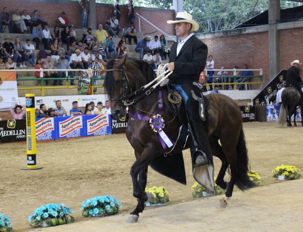 https://www.suscaballos.com/VÍDEO: Cardenal Del Mirador Mejor, Altísimo 1P, Trocha Colombiana, Cúcuta 2017