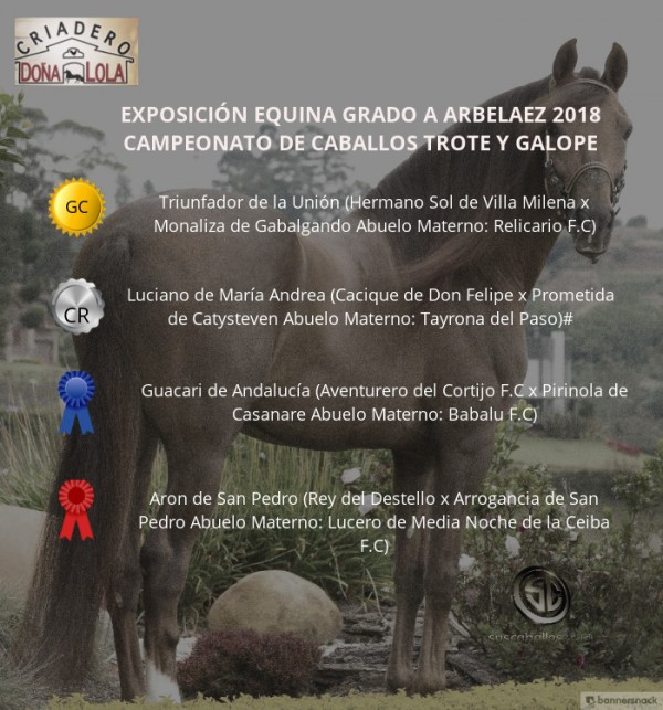 https://www.suscaballos.com/VÍDEO: Triunfador Campeón, Luciano Reservado, Trote Y Galope, Arbeláez 2018