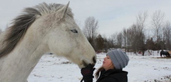 https://www.suscaballos.com/¿Te has preguntado alguna vez si les gustamos a los caballos?