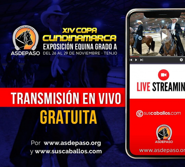 https://www.suscaballos.com/Copa Cundinamarca Asdepaso 2020 - Transmisión Gratuita por Suscaballos.com