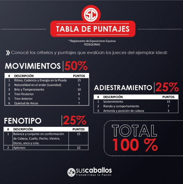 https://www.suscaballos.com/TABLA DE PUNTAJES