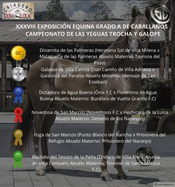 https://www.suscaballos.com/VÍDEO: Dinamita Campeona, Galatea Reservada, Trocha y Galope, Caballanos 2018