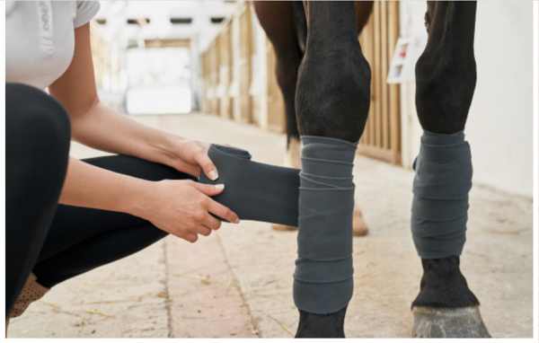 https://www.suscaballos.com/¿Cómo evitar la cojera de mi caballo?